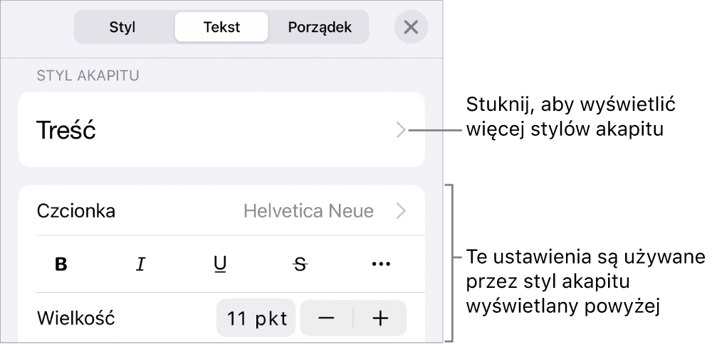 Menu Format z narzędziami tekstu pozwalającymi na ustawianie stylów akapitu, stylów znaków, czcionki, wielkości oraz koloru.