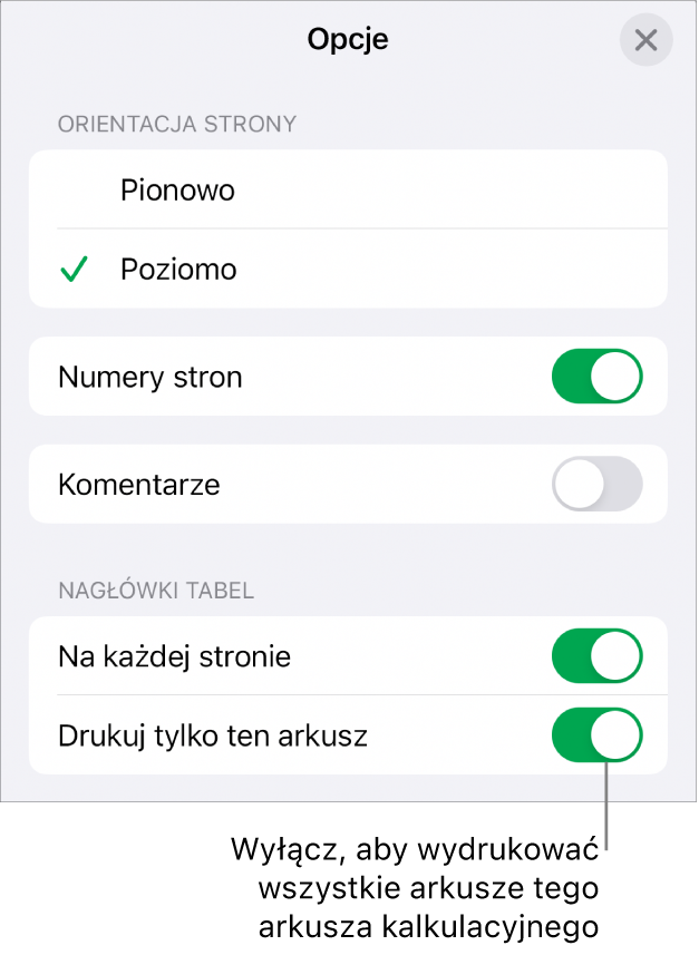 Opcje drukowania, pozwalające wybrać orientację strony, pokazywanie numerów stron, pokazywanie nagłówków, rozmiar papieru oraz które strony mają zostać wydrukowane.