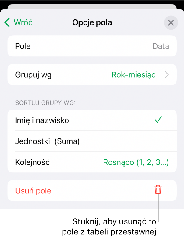 Menu Opcje pola pokazujące narzędzia grupowania i sortowania danych, a także opcja usuwania pola.
