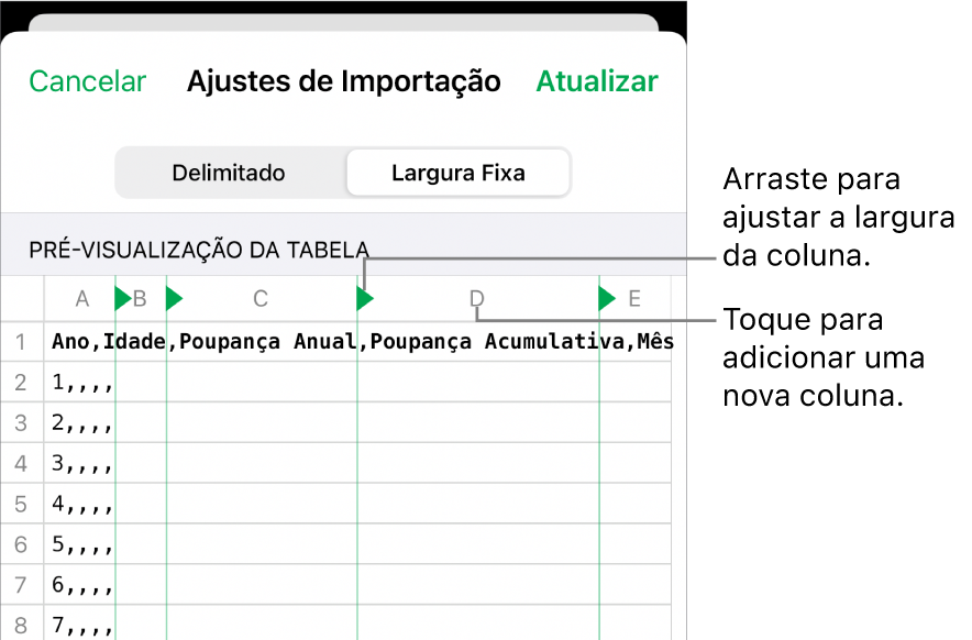 Ajustes de importação para um arquivo de texto de largura fixa.