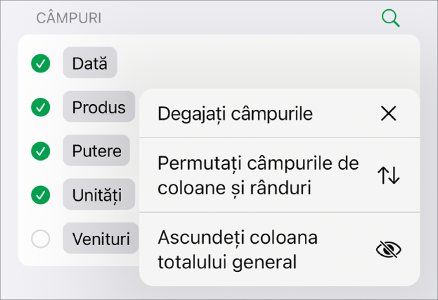 Meniul Mai multe opțiuni de câmpuri afișând comenzile pentru ascunderea totalurilor generale, permutarea câmpurilor de coloane și rânduri și ștergerea câmpurilor.