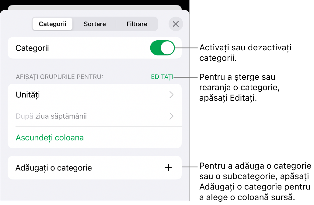 Meniu Categorii pentru iPhone cu opțiuni pentru a dezactiva categoriile, șterge categoriile, regrupa datele, ascunde o coloană sursă și a adăuga categorii.