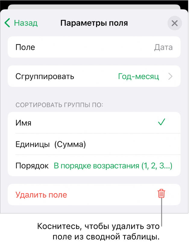 Меню параметров поля, отображающее элементы управления для группировки и сортировки данных, а также для удаления поля.