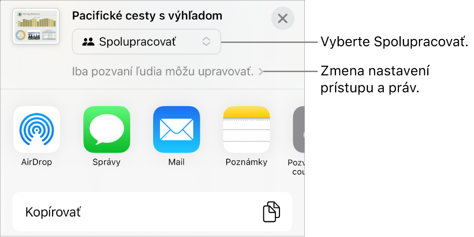 Menu Zdieľať s vybranou možnosťou Spolupracovať navrchu a pod ňou sa nachádzajú nastavenia prístupu a povolení.