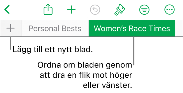 Flikfältet för att lägga till ett nytt blad, navigera, ändra ordning på och arrangera om blad.