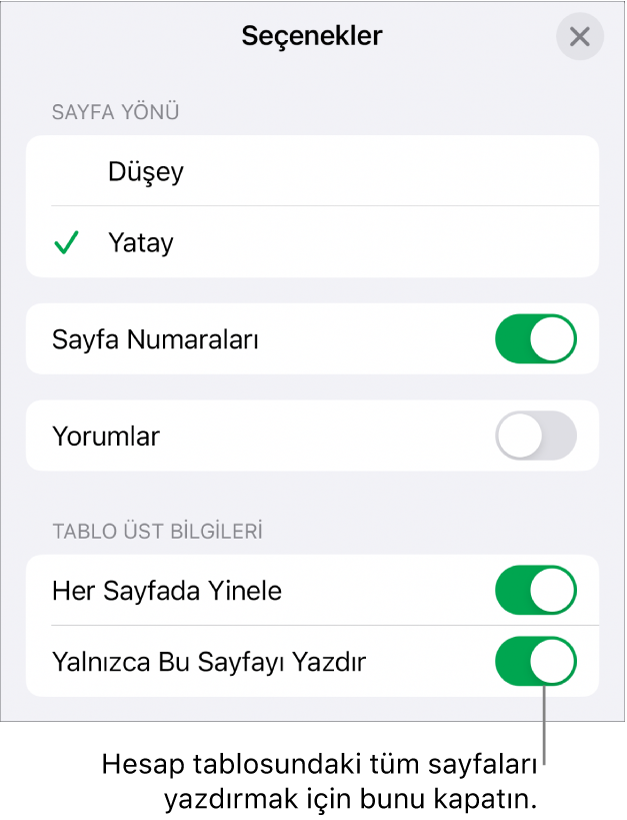Sayfa yönünü seçme, sayfa numaralarını ve üst bilgilerini gösterme, sayfa boyutu ve hangi sayfaların yazdırılacağını seçmeye yönelik yazdırma seçenekleri.