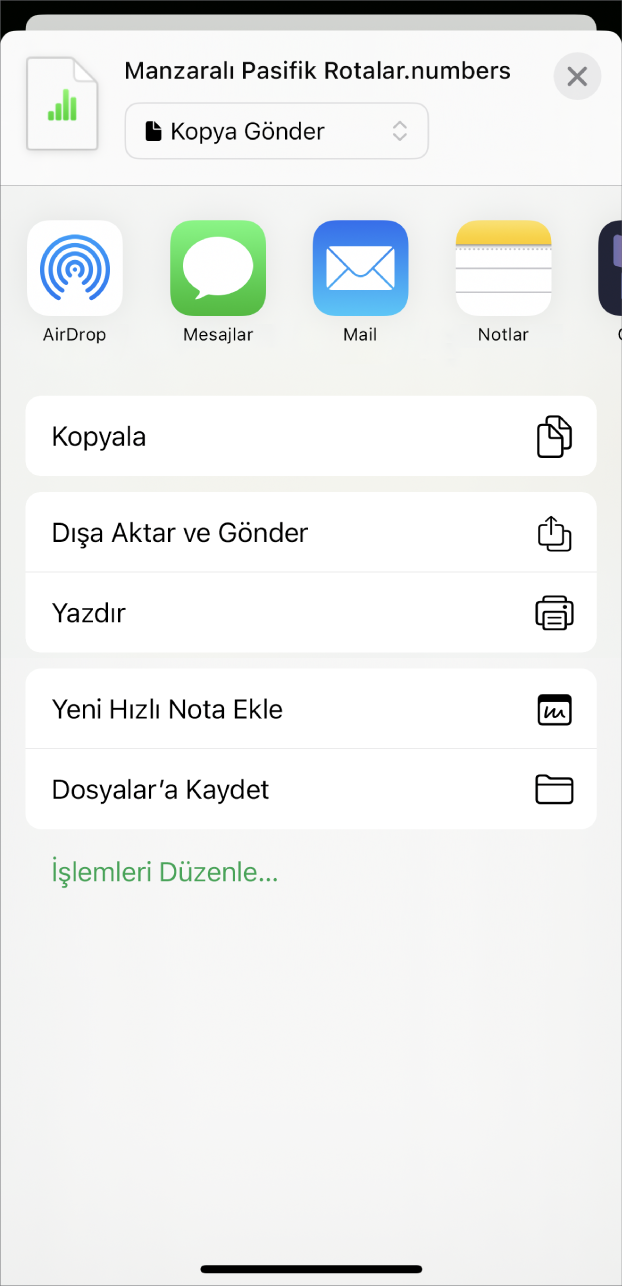 Hesap tablosunun bir kopyasını gönderme, farklı bir biçimde dışa aktarma ve gönderme ya da hesap tablosunu Dosyalar uygulamasında yazdırma veya kaydetme seçenekleriyle birlikte Paylaş menüsünü gösteren Numbers penceresi.