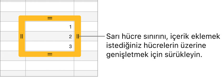 Hücreleri otomatik doldurmak için sürükleyebileceğiniz büyük sarı sınırlı seçili bir hücre.