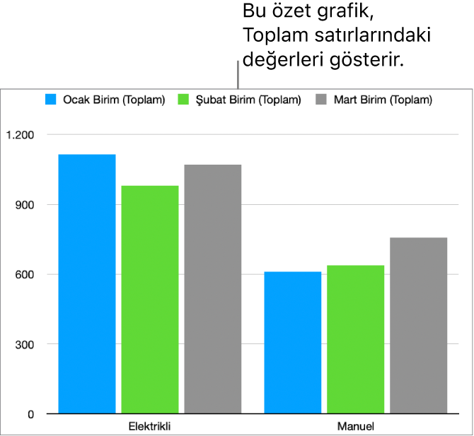 Yukarıdaki özet tablodaki Toplam satırlarından çizilen verileri gösteren bir özet grafik.