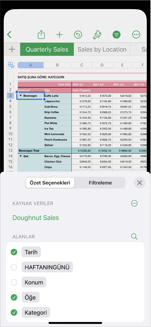 Ekranın en altında Özet Tablo Seçenekleri ve Filtre denetimleri ile bir hesap tablosu.