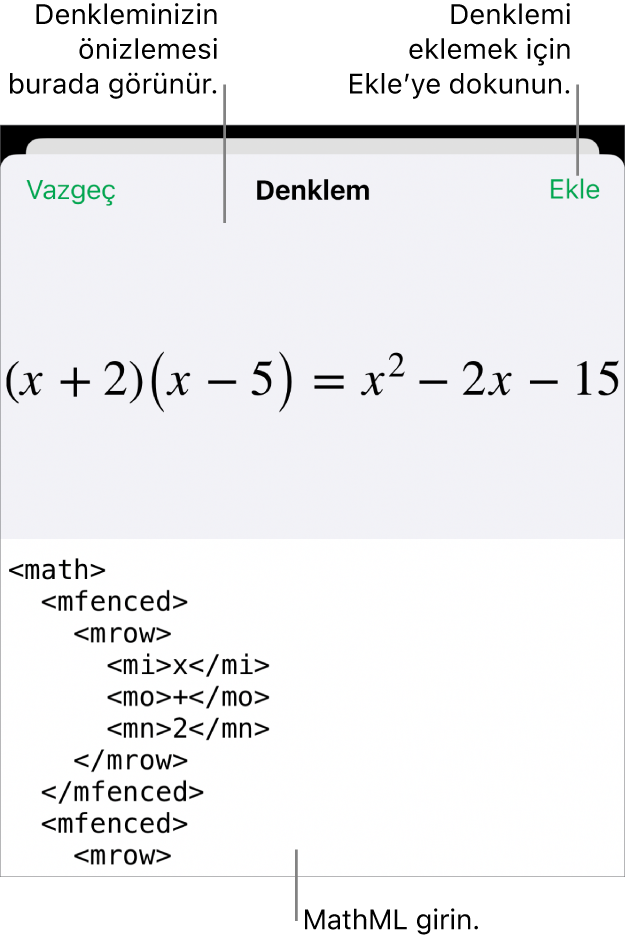 MathML komutları kullanılarak yazılmış bir denklemi ve onun üstünde formülün önizlemesini gösteren Denklem sorgu kutusu.