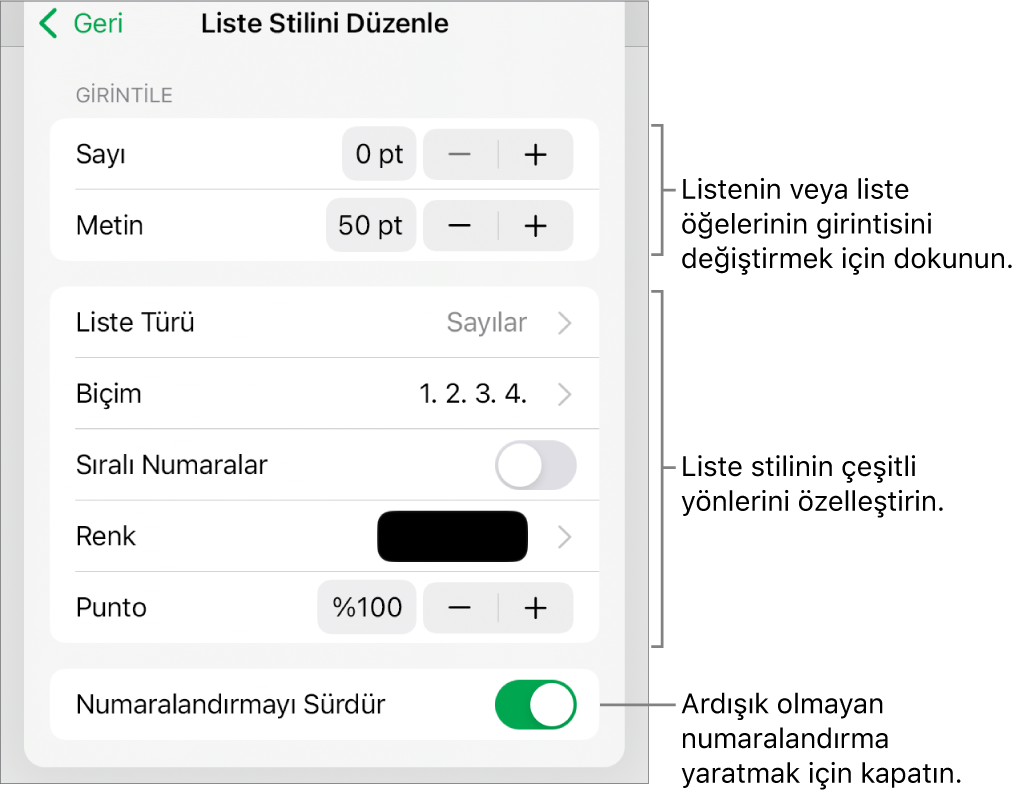 Girinti aralığı, liste türü ve biçimi, katmanlı sayılar, liste rengi ve büyüklüğü ve devamlı numaralandırma denetimleri ile Liste Stilini Düzenle menüsü.