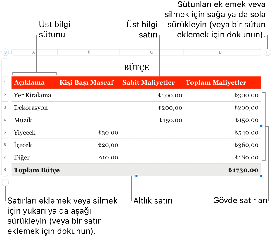 Üst bilgi, gövde ve dipnot satırlarını ve sütunlarını ve satır veya sütun eklemek ya da silmek için tutamakları gösteren bir tablo.