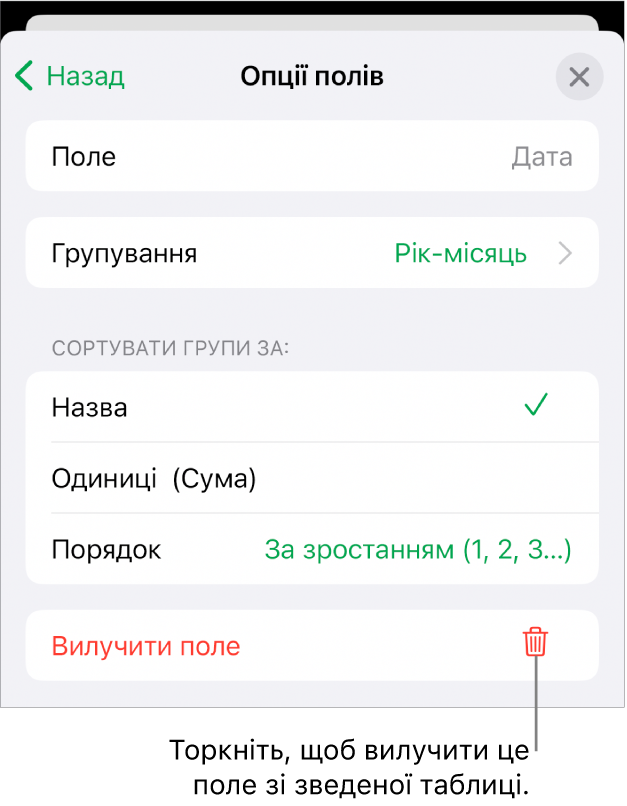 Меню «Опції полів» з елементами керування для групування і сортування даних і з опцією для вилучення поля.