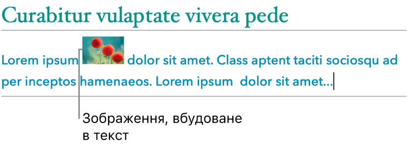 Зображення вбудоване в текст.