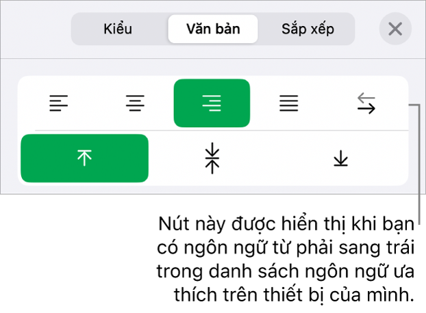 Phần Kiểu của menu Định dạng với chỉ thị đến các nút Phải sang trái.