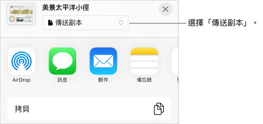 「分享」選單的最上方已選取「傳送副本」。