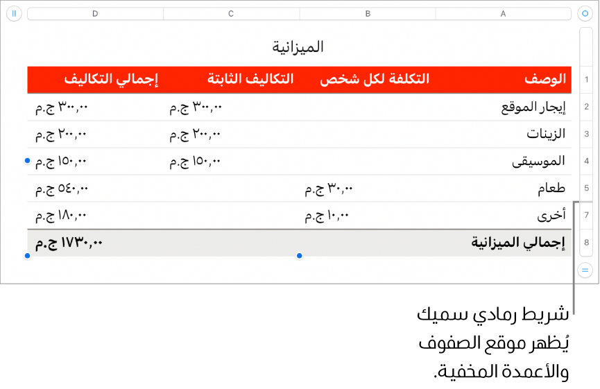 شريط رمادي سميك يُظهر موقع الصفوف والأعمدة المخفية