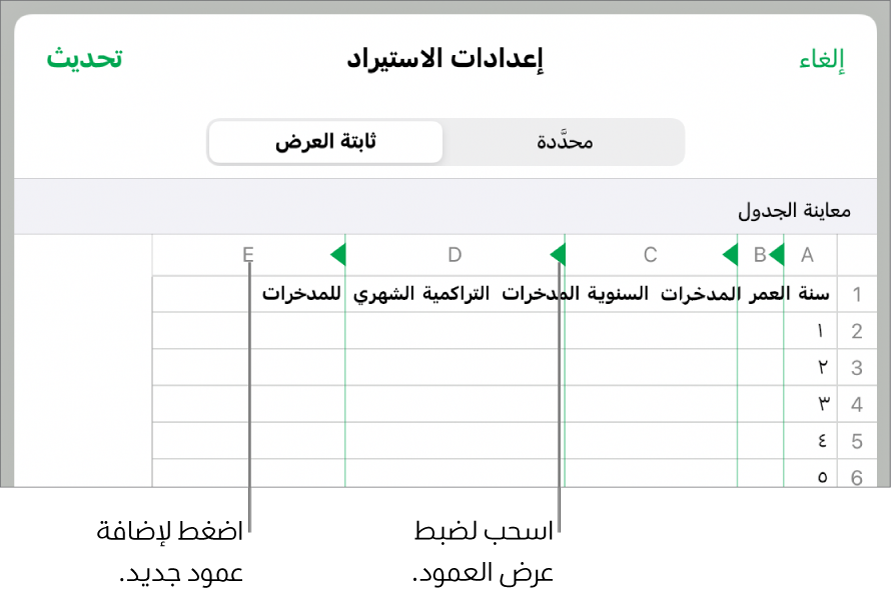 إعدادات الاستيراد لملف نصي ثابت العرض.