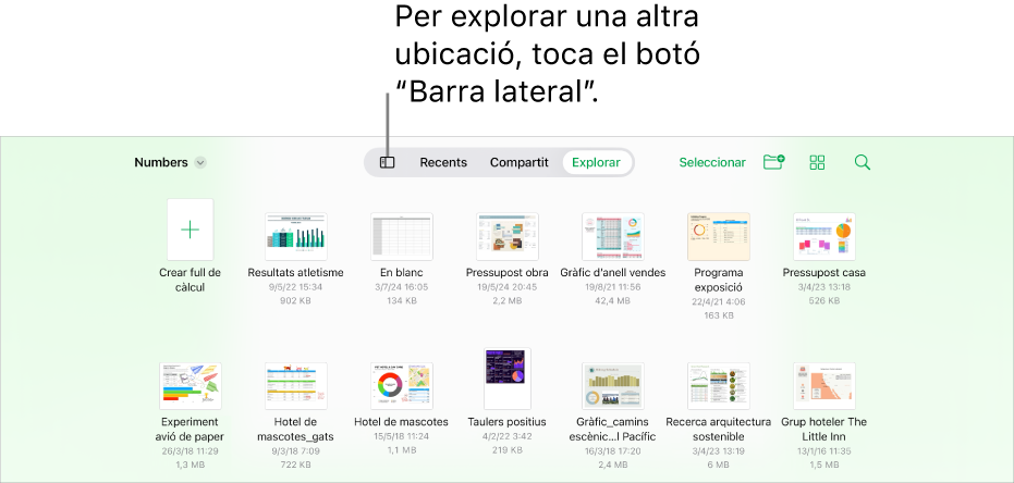 El gestor de documents per a l’iPad.