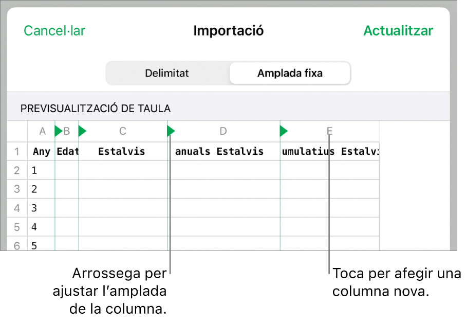 Els paràmetres d’importació d’un arxiu de text d’amplada fixa.