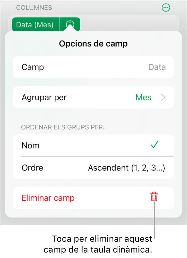 El menú “Opcions de camp”, que mostra els controls per agrupar i ordenar dades, a més de l’opció per eliminar un camp.