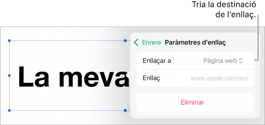 Controls “Paràmetres d’enllaç” amb l’opció “Pàgina web” seleccionada i el botó “Elimina” situat a la part inferior.