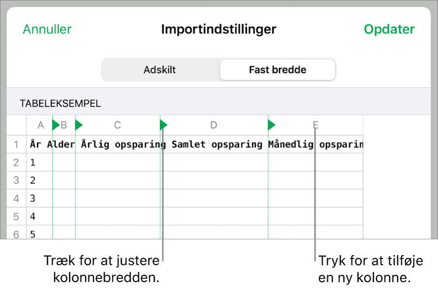 Importindstillingerne til et tekstarkiv med fast bredde.