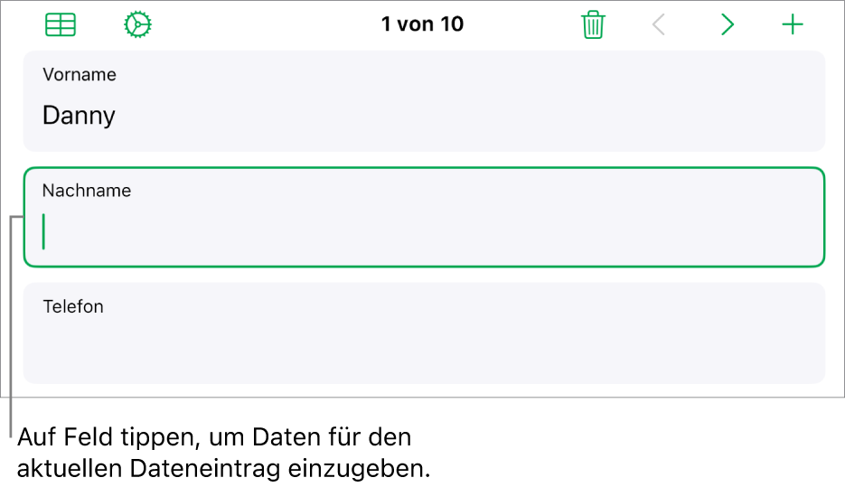 Ein Datensatz in einem Formular mit einem aktiven Feld und einer Einfügemarke.