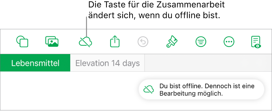 Die Tasten oben auf dem Bildschirm, darunter die Taste „Zusammenarbeit“, die als mit einer diagonalen Linie durchgestrichenen Wolke dargestellt wird. Ein Hinweis auf dem Bildschirm besagt, dass du offline bist, aber weiterhin arbeiten kannst.