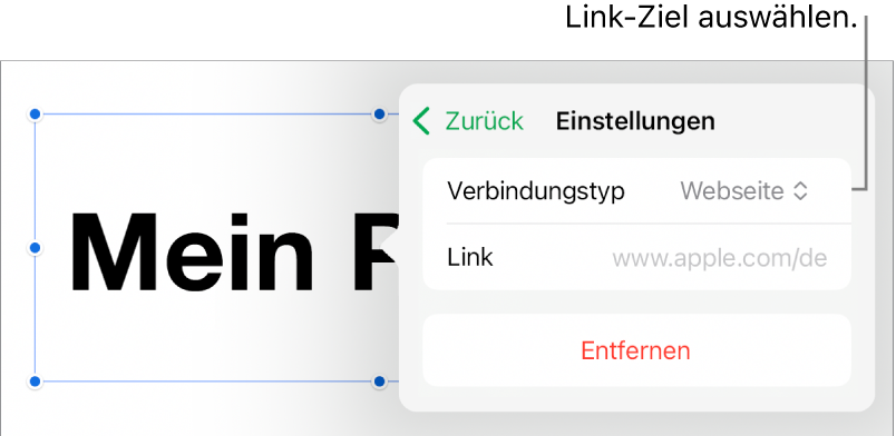 Die Steuerelemente der Linkeinstellungen mit ausgewählter Webseite und der Taste „Entfernen“ unten.