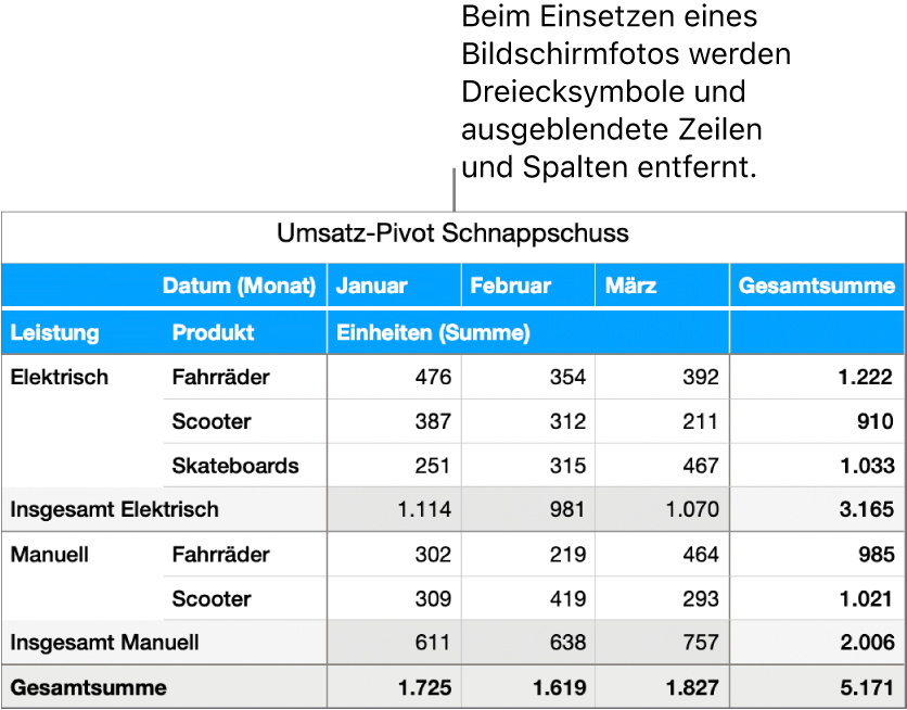 Schnappschuss einer Pivot-Tabelle