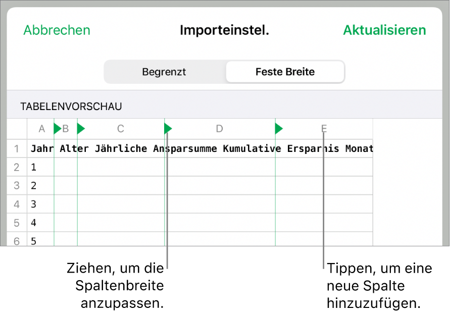 Die Importeinstellungen für eine Textdatei mit fester Breite.