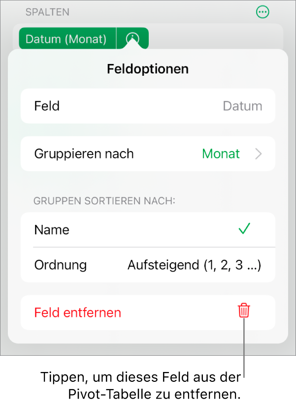 Das Menü „Feldoptionen“ mit Steuerelementen zum Gruppieren und Sortieren von Daten sowie einer Option zum Entfernen eines Feldes.