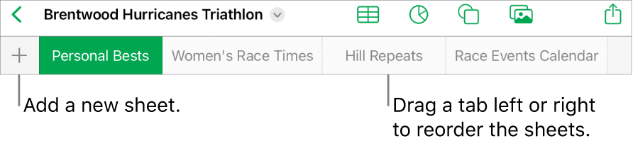 The tab bar for adding a new sheet, navigating, reordering, and reorganizing sheets.