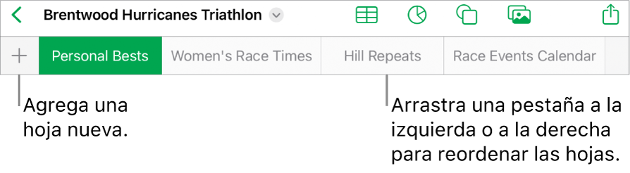 La barra de pestañas para agregar una nueva hoja, navegar, reordenar y reorganizar las hojas.