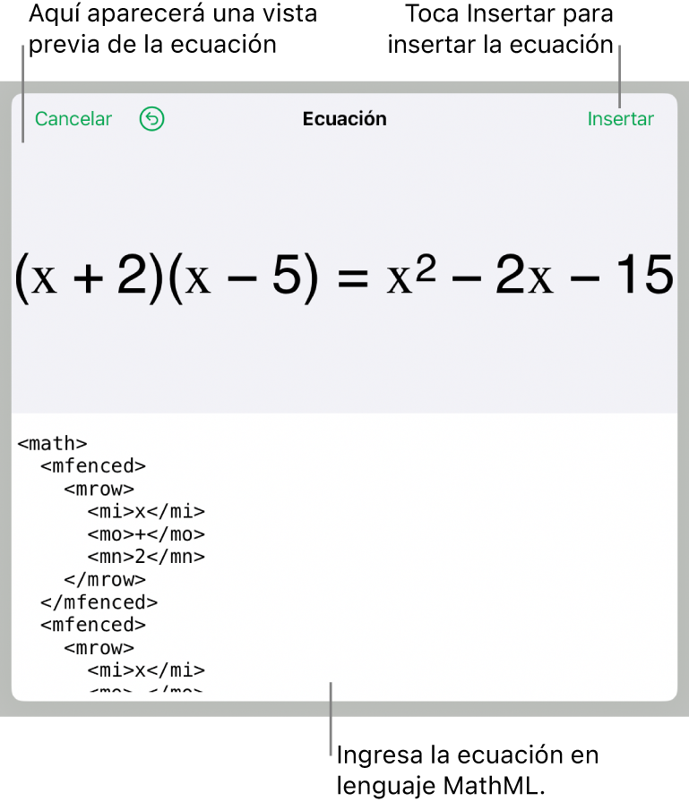 El cuadro de diálogo Ecuación con una ecuación escrita con comandos de MathML y una vista previa de la fórmula encima.