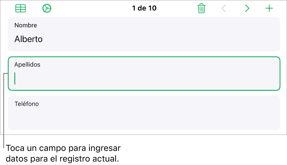 Se muestra un registro en un formulario con un campo activo con un punto de inserción.