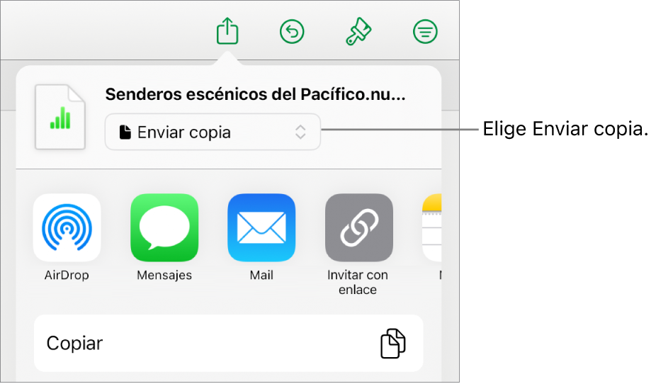 El menú Compartir con la opción Enviar copia seleccionada en la parte superior.