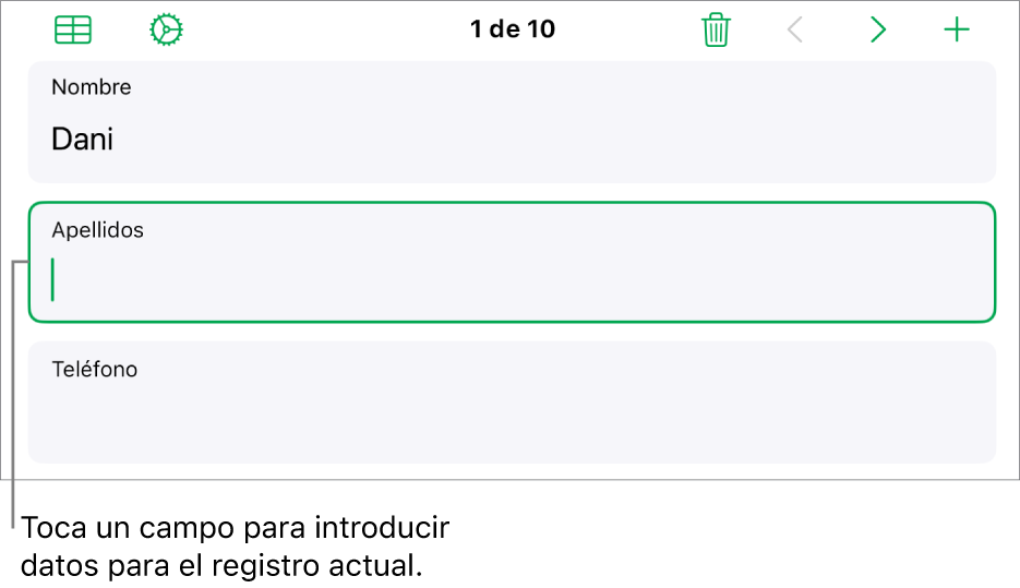 Un registro de un formulario, con un campo activo con un punto de inserción.