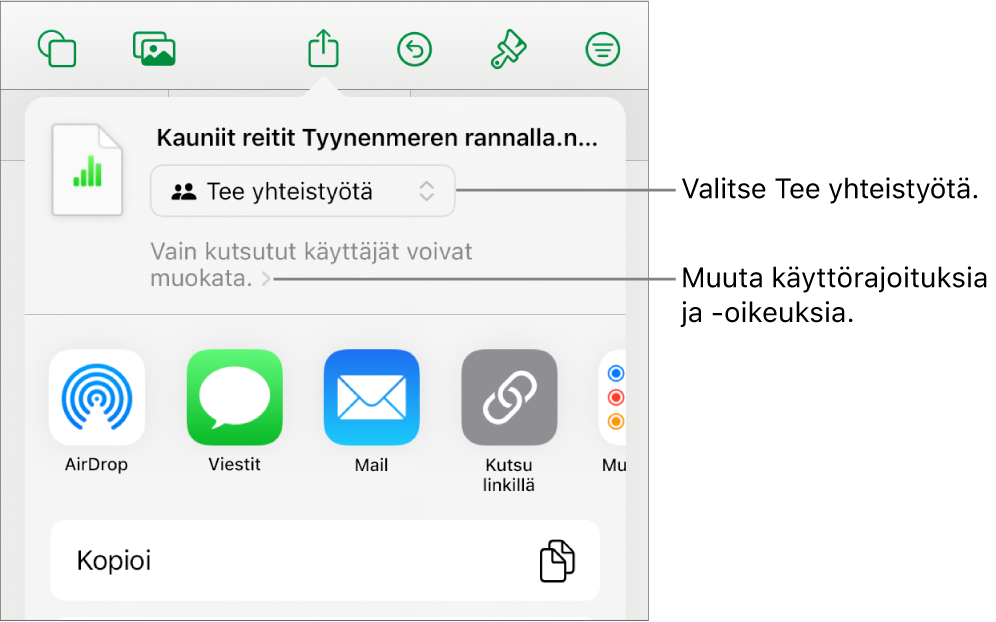 Jaa-valikko, jossa on ylhäällä valittuna Tee yhteistyötä, ja sen alla ovat käyttöoikeus- ja lupa-asetukset.