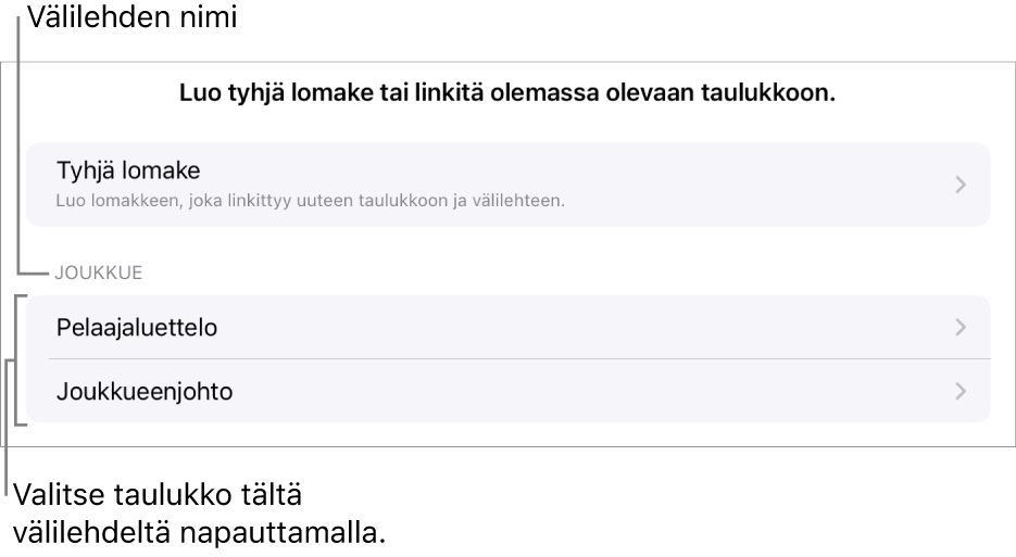 Samassa laskentataulukossa olevien taulukoiden luettelo ja ylhäällä valinta, jolla voi luoda tyhjän lomakkeen.