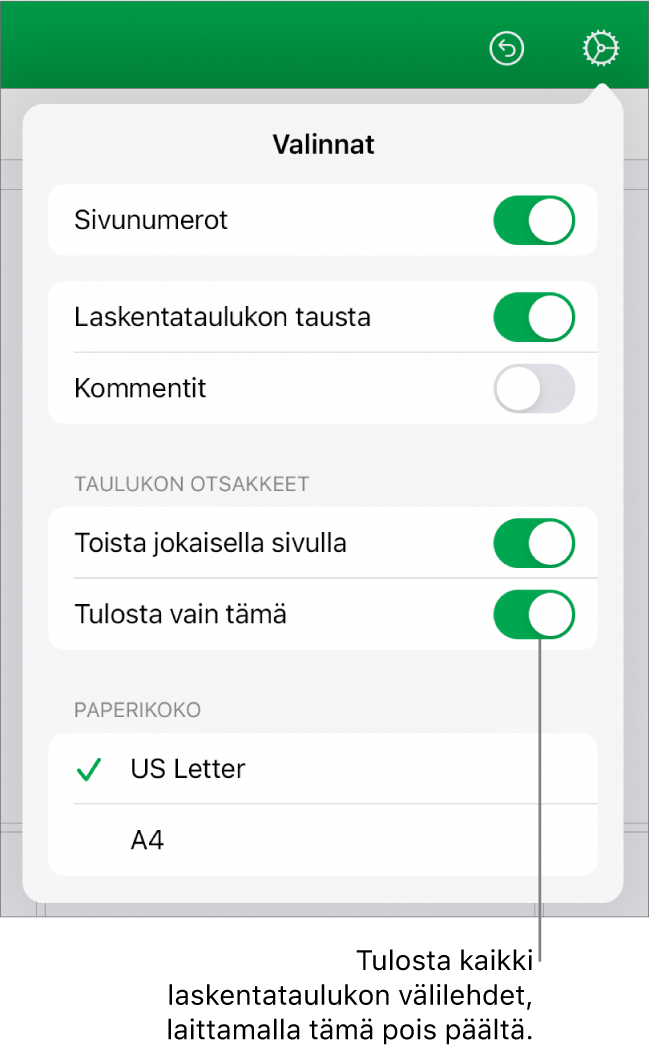 Tulostuksen esikatselu, jossa on säätimiä sivunumeroiden näyttämiseen, otsakkeiden toistamiseen joka sivulla, paperikoon muuttamiseen ja koko laskentataulukon tai vain nykyisen välilehden tulostamiseen.