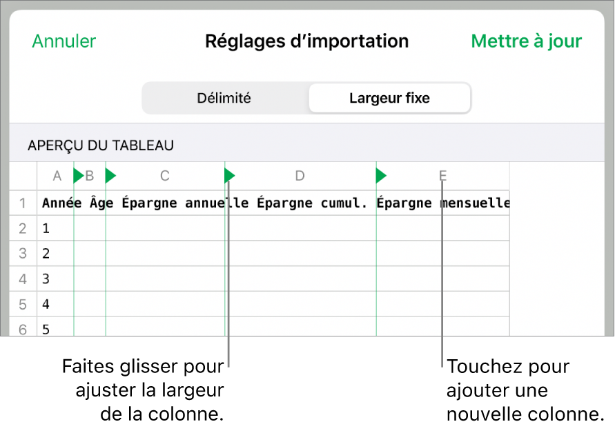 Les réglages d’importation d’un fichier texte à largeur fixe.