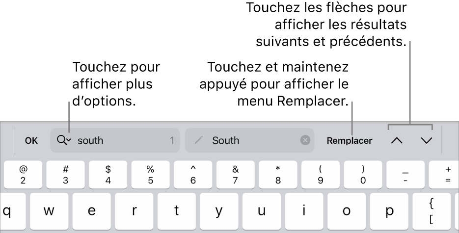 Les commandes de Rechercher et remplacer au-dessus du clavier avec des légendes pour les boutons Options de recherche, Remplacer, Monter et Descendre.