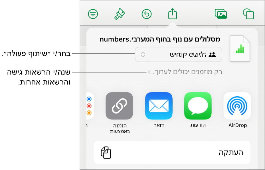 תפריט השיתוף כאשר האפשרות ״שיתוף פעולה״ נבחרת בחלק העליון ומתחתיה הגדרות הגישה וההרשאות.