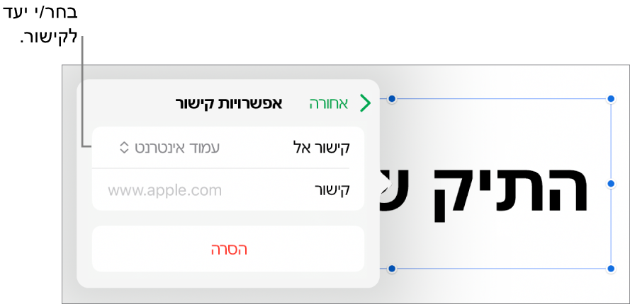כלי הבקרה של ״אפשרויות קישור״ כאשר האפשרות ״עמוד אינטרנט״ נבחרת ובחלק התחתון מוצג הכפתור ״הסר״.