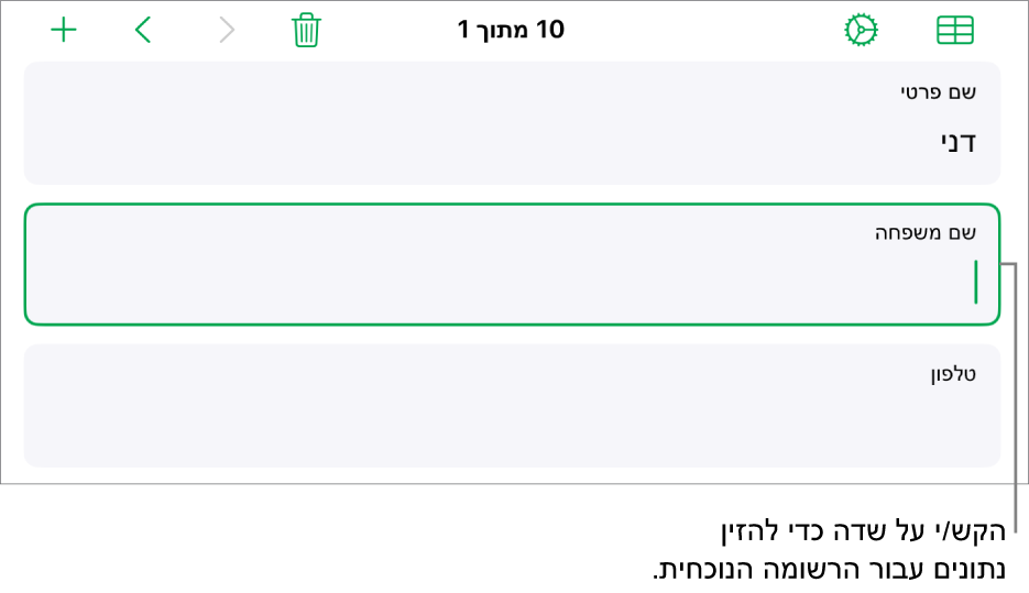 רשומה בטופס המציגה שדה פעיל עם נקודת כניסה.