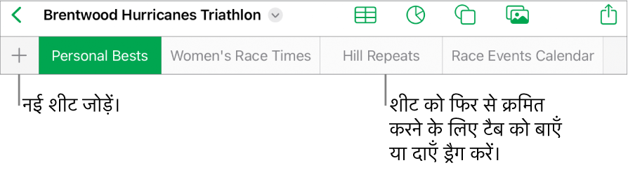 नई शीट जोड़ने, शीट को नैविगेट करने, उन्हें रीऑर्डर करने और फिर से व्यवस्थित करने के लिए टैब बार।