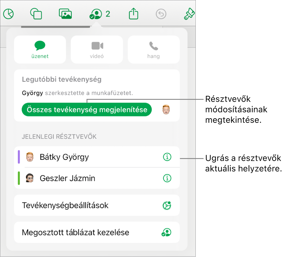 Az együttműködési menü a jelenlegi résztvevőkkel.